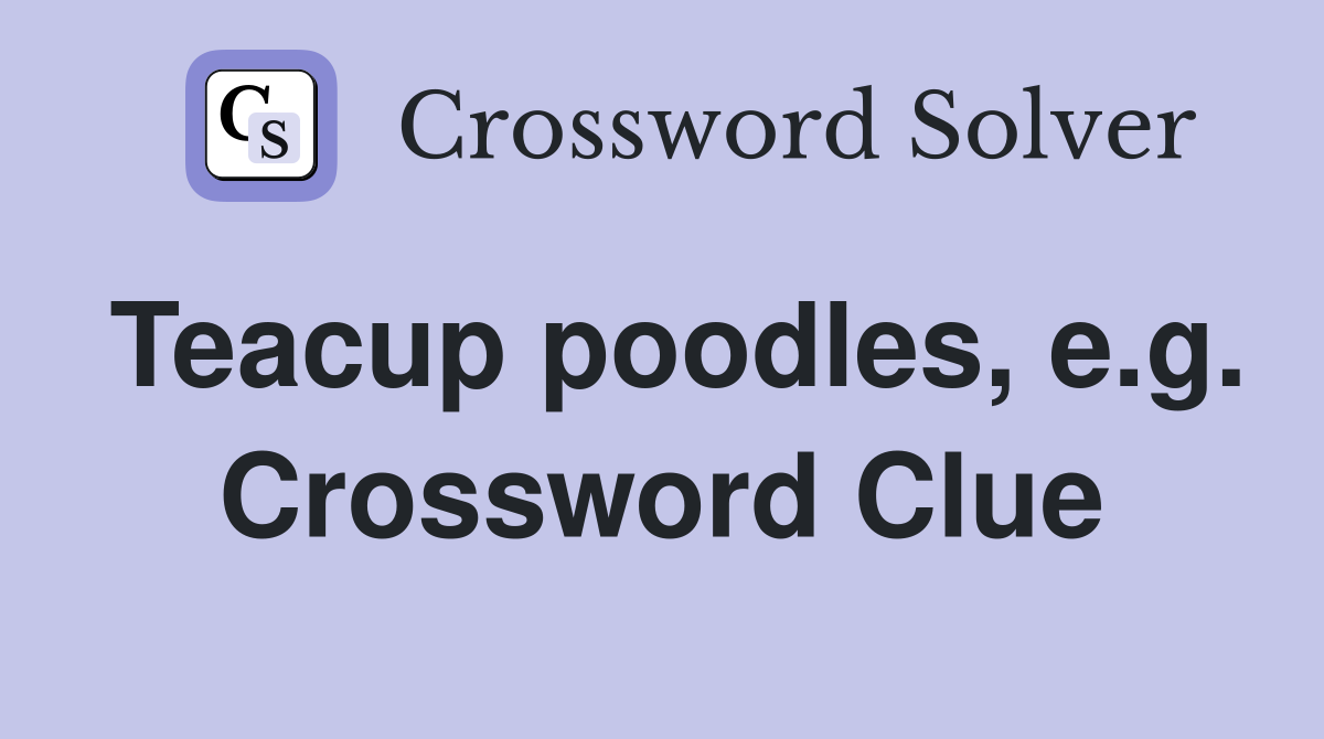 Teacup poodles, e.g. Crossword Clue