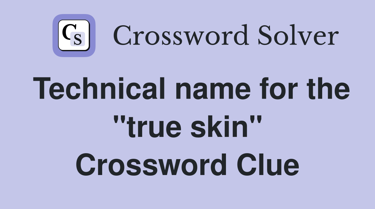 Technical name for the "true skin" Crossword Clue