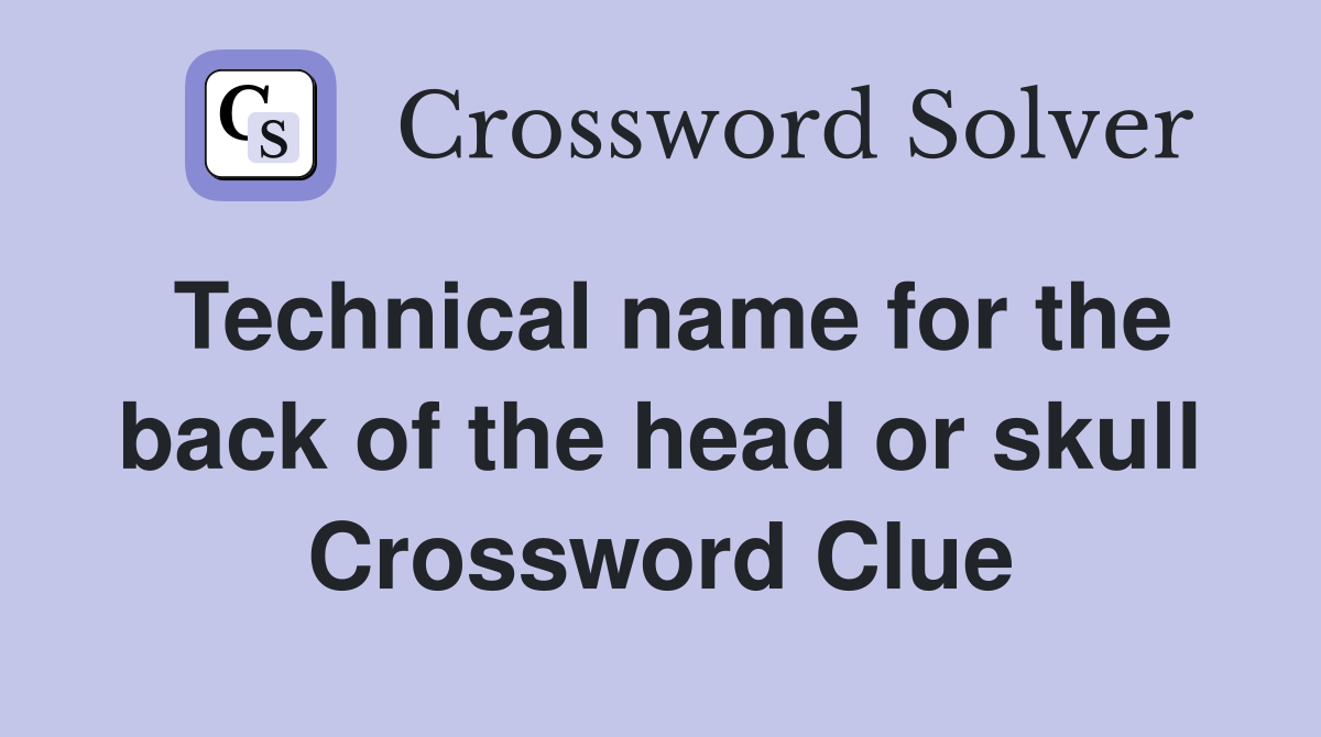 Technical name for the back of the head or skull Crossword Clue