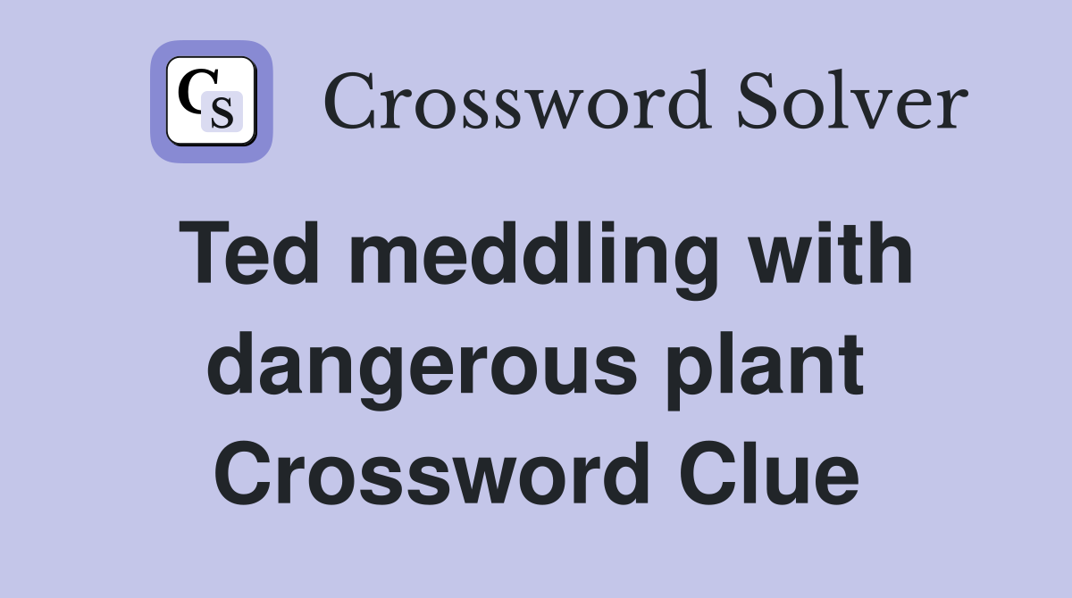 Ted meddling with dangerous plant Crossword Clue