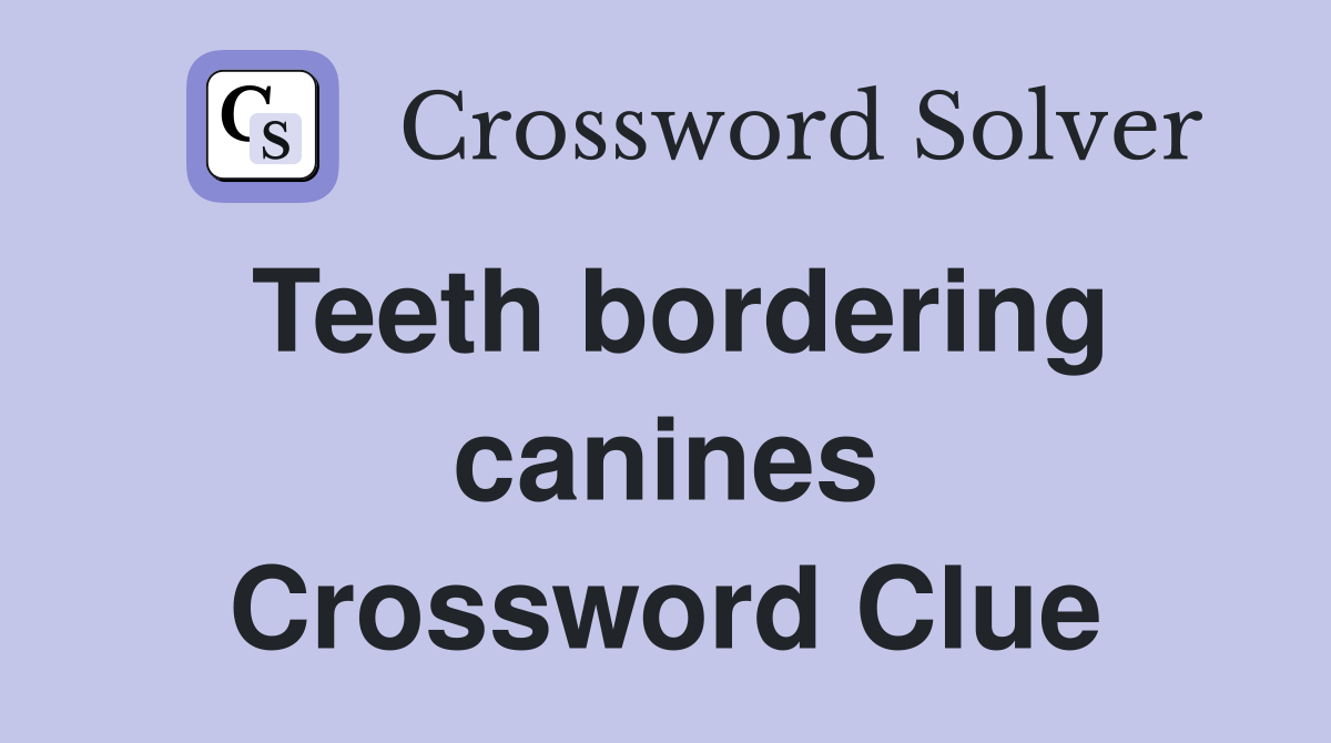Teeth bordering canines Crossword Clue