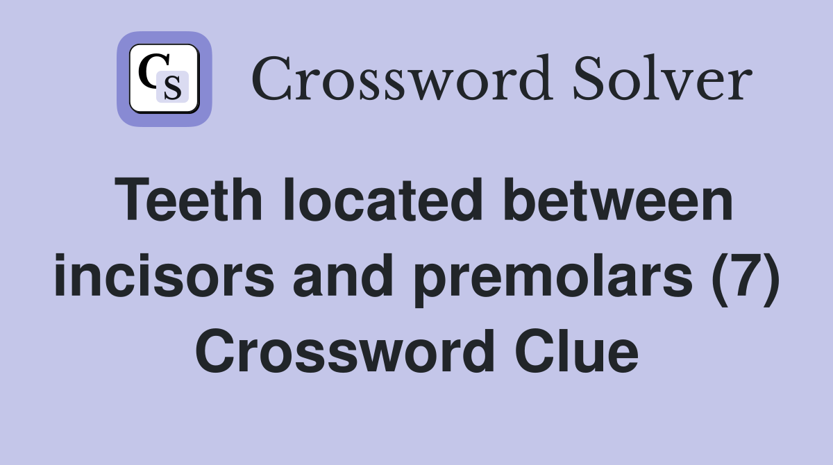 Teeth located between incisors and premolars (7) Crossword Clue