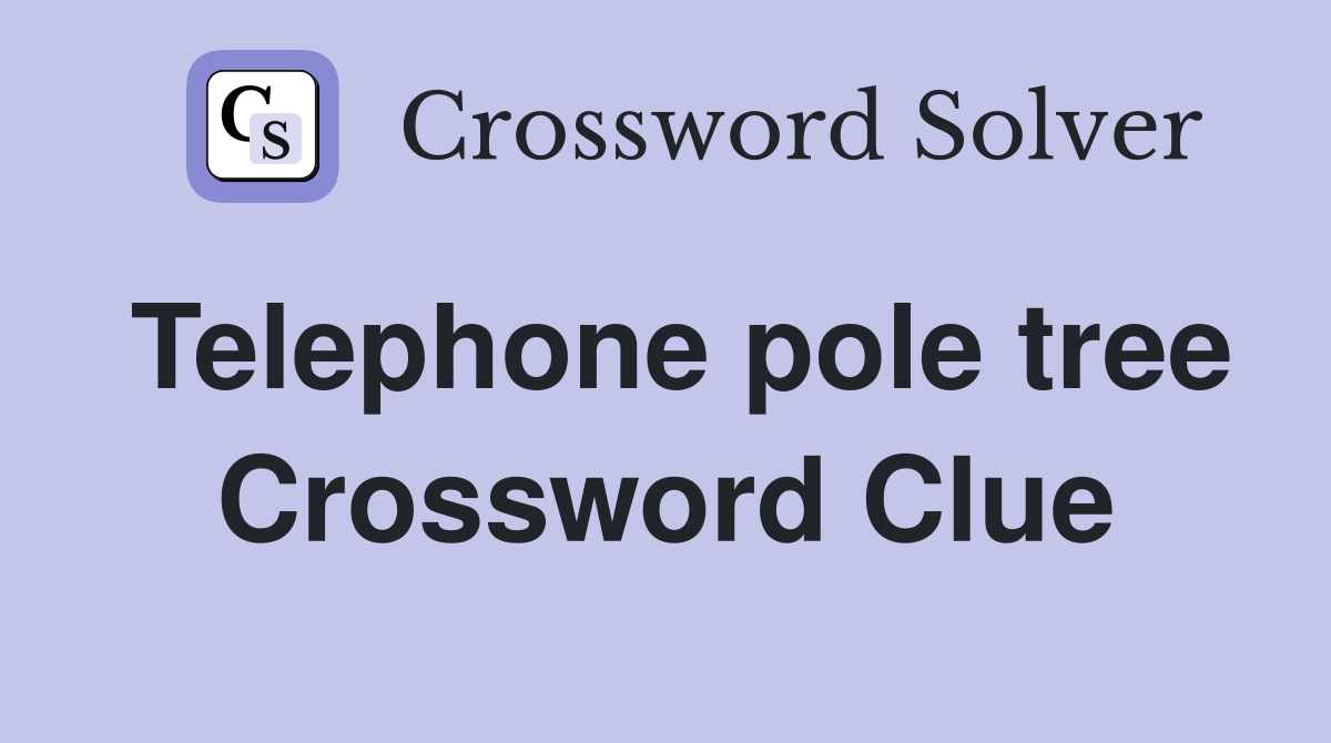 Telephone pole tree Crossword Clue