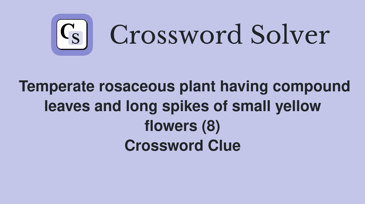 Temperate rosaceous plant having compound leaves and long spikes of small yellow flowers (8) Crossword Clue