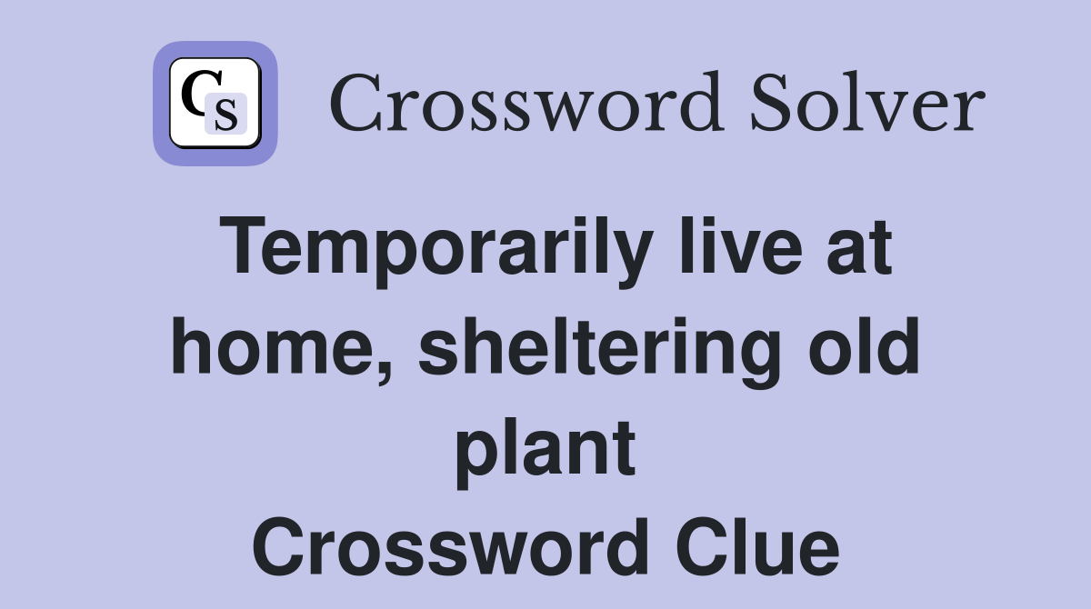 Temporarily live at home, sheltering old plant Crossword Clue
