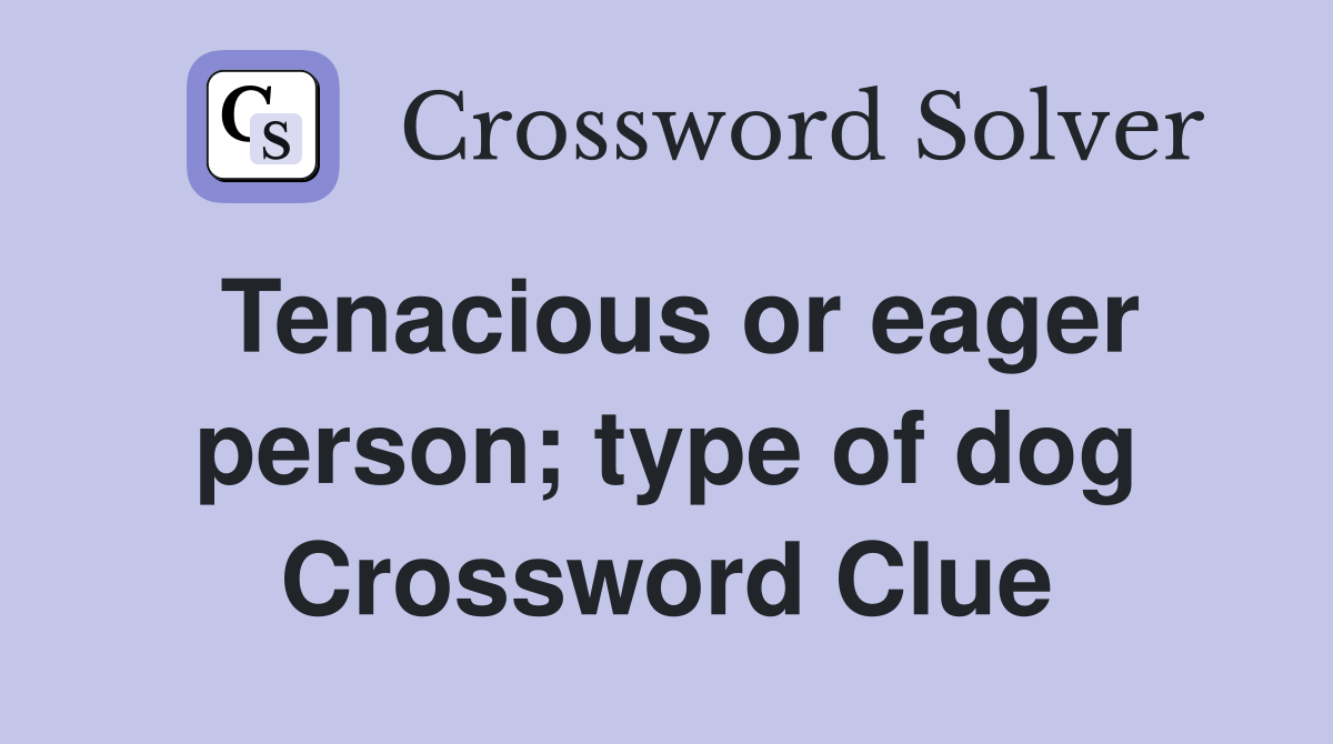 Tenacious or eager person; type of dog Crossword Clue