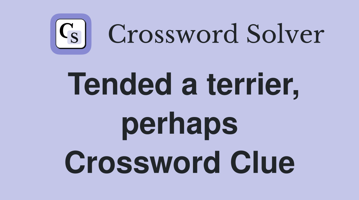 Tended a terrier, perhaps Crossword Clue
