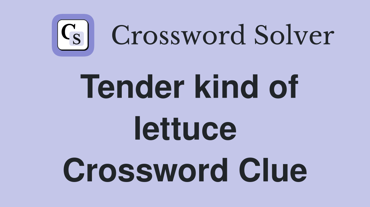 Tender kind of lettuce Crossword Clue