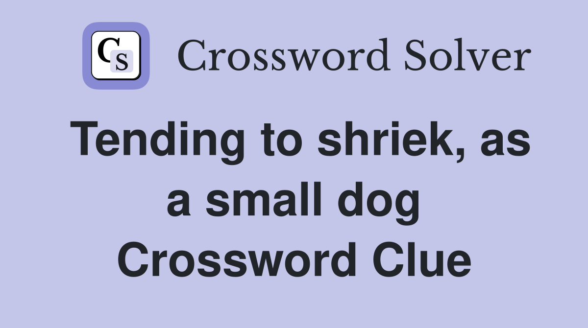 Tending to shriek, as a small dog Crossword Clue