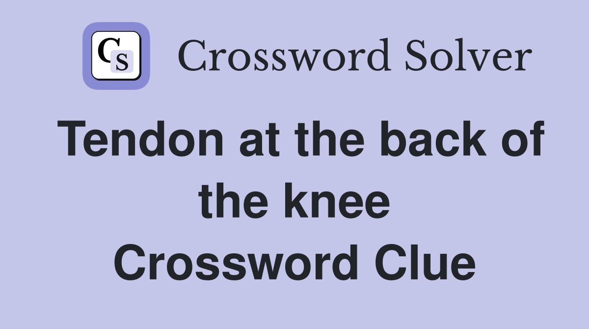 Tendon at the back of the knee Crossword Clue