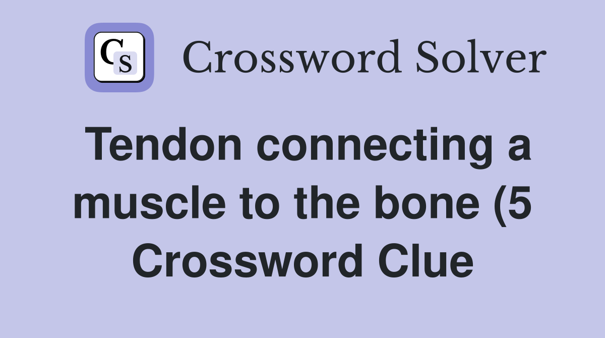 Tendon connecting a muscle to the bone (5) Crossword Clue Answers Tendon connecting a muscle to the bone (5) Crossword Clue Answers