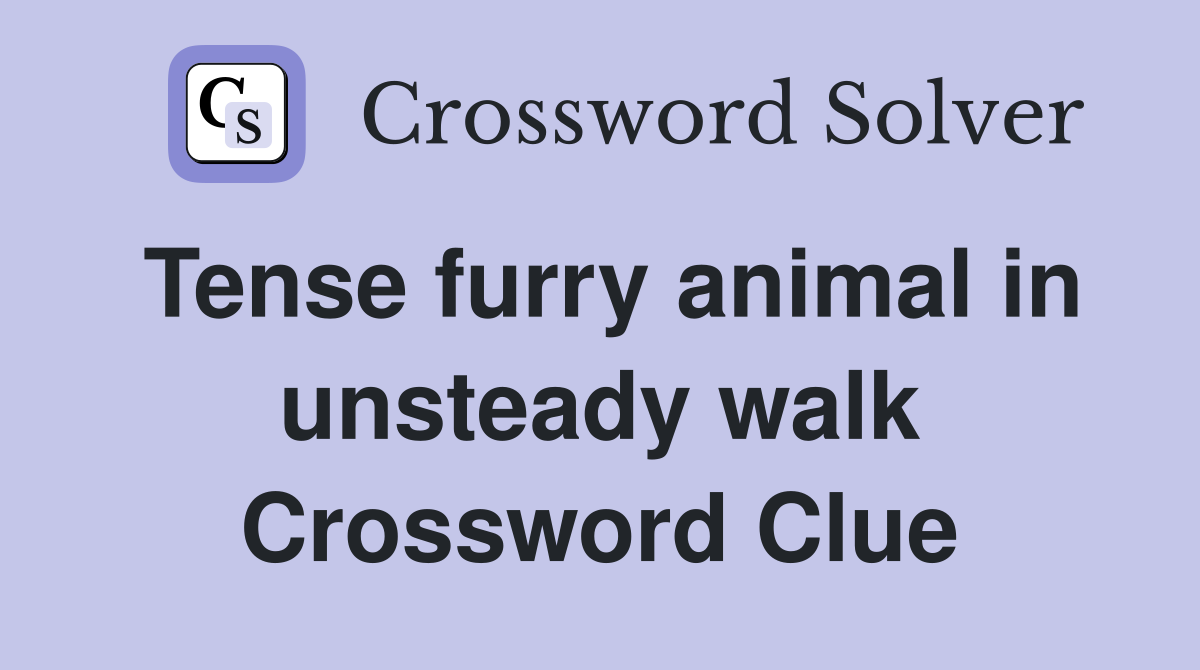 Tense furry animal in unsteady walk Crossword Clue