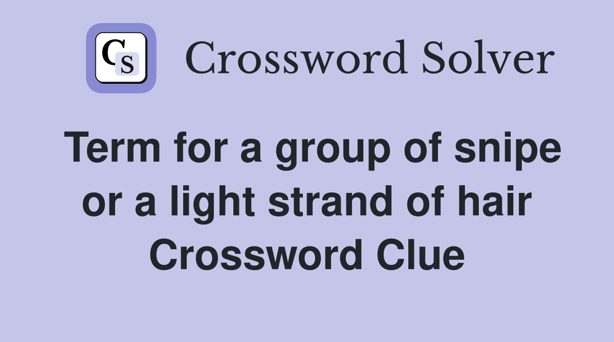 Term for a group of snipe or a light strand of hair Crossword Clue