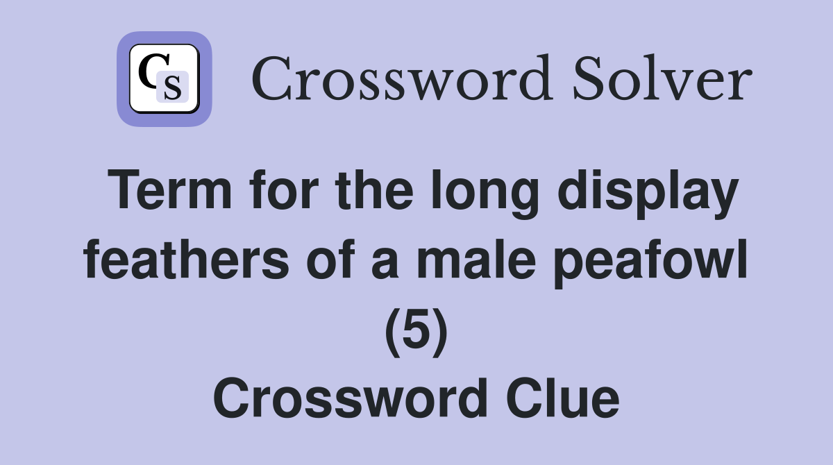 Term for the long display feathers of a male peafowl (5) Crossword Clue