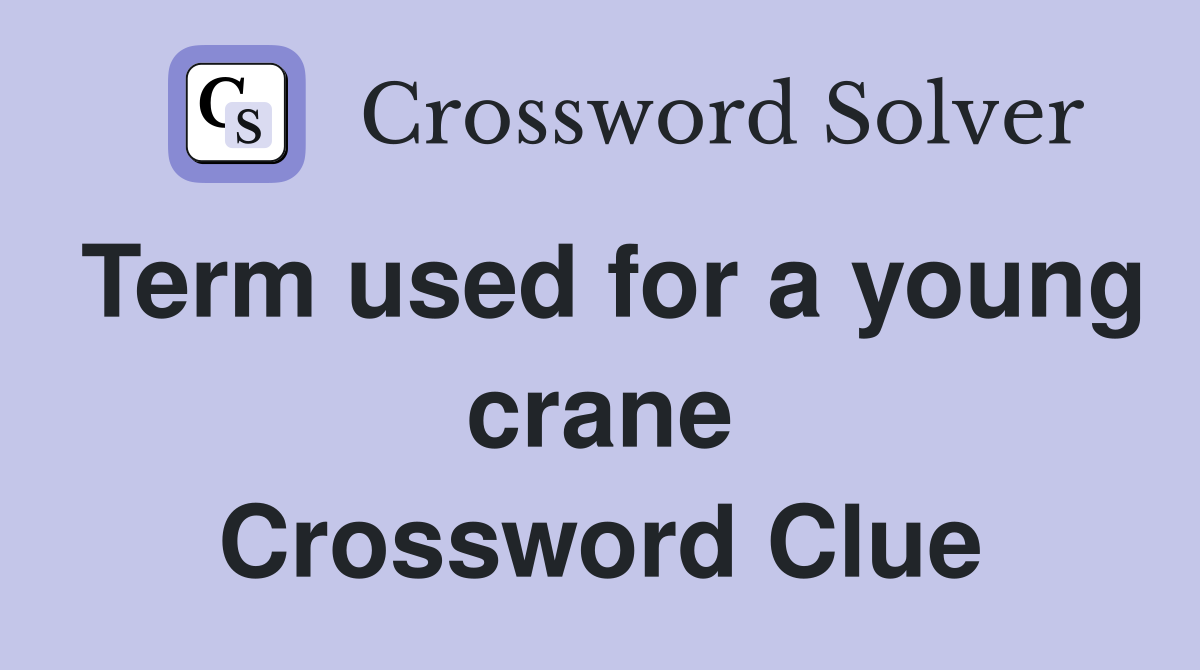 Term used for a young crane Crossword Clue