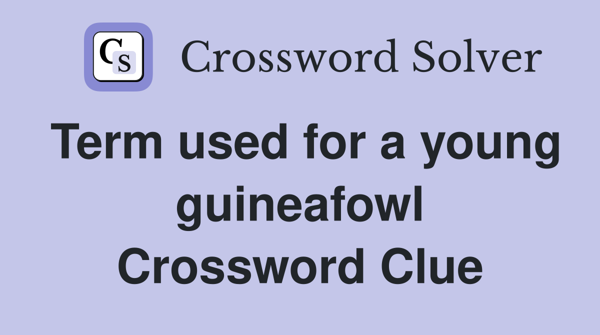 Term used for a young guineafowl Crossword Clue