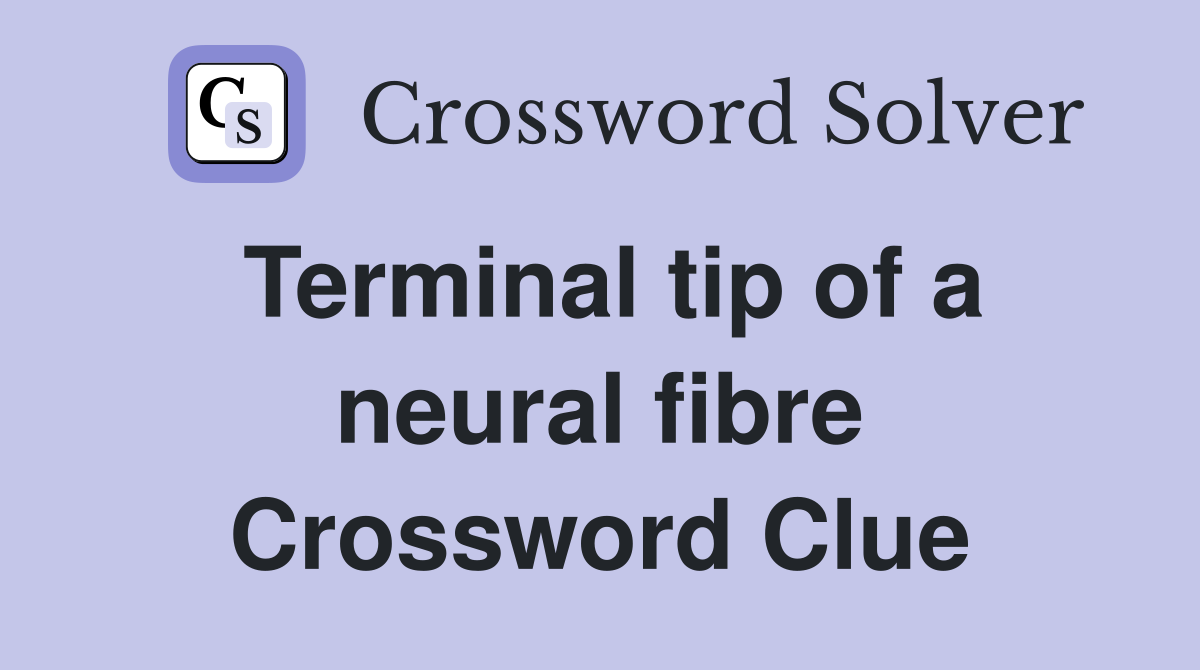 Terminal tip of a neural fibre Crossword Clue