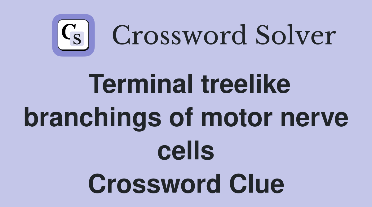 Terminal treelike branchings of motor nerve cells Crossword Clue