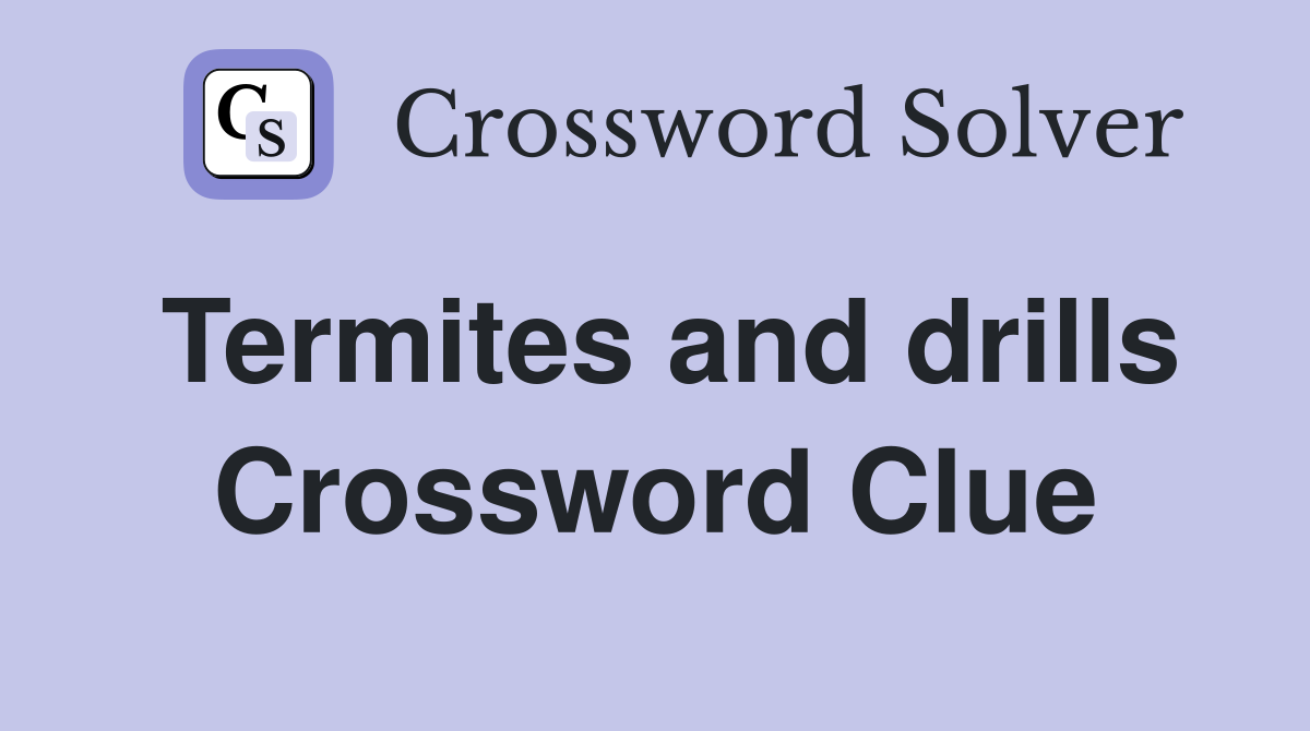 Termites and drills Crossword Clue