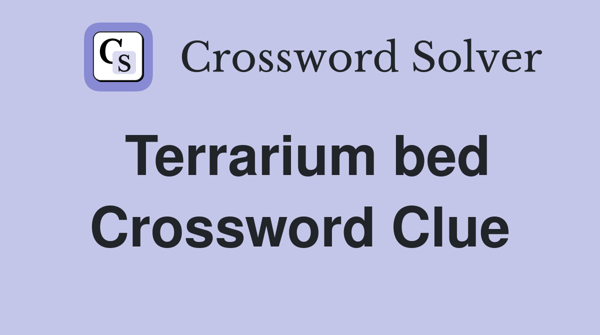 Terrarium bed Crossword Clue