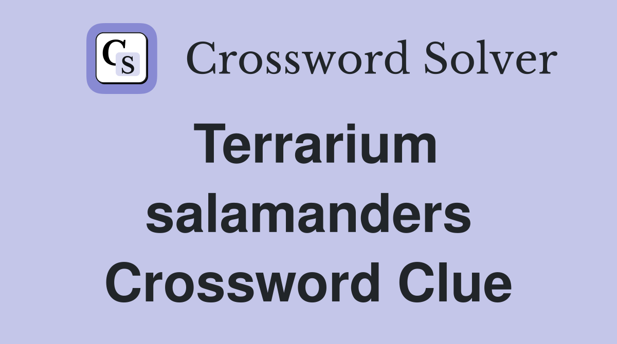 Terrarium salamanders Crossword Clue