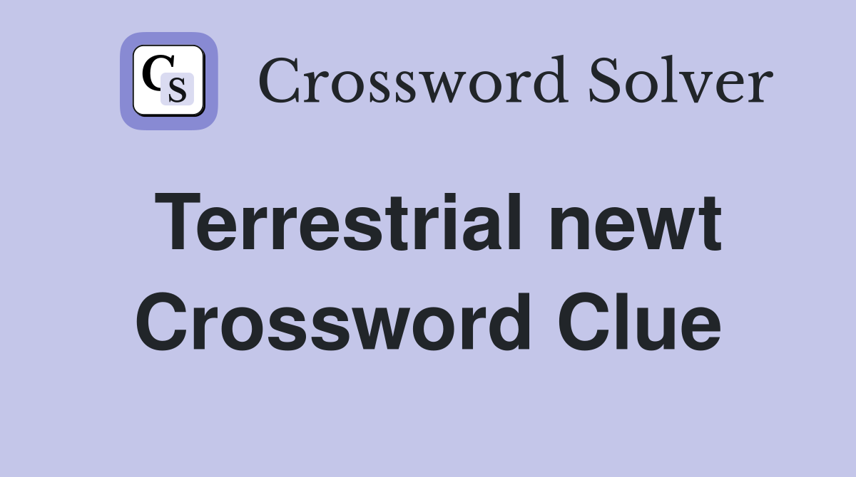 Terrestrial newt Crossword Clue
