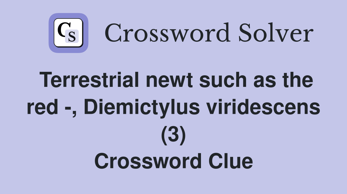 Terrestrial newt such as the red -, Diemictylus viridescens (3) Crossword Clue