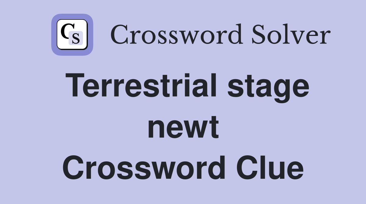 Terrestrial stage newt Crossword Clue