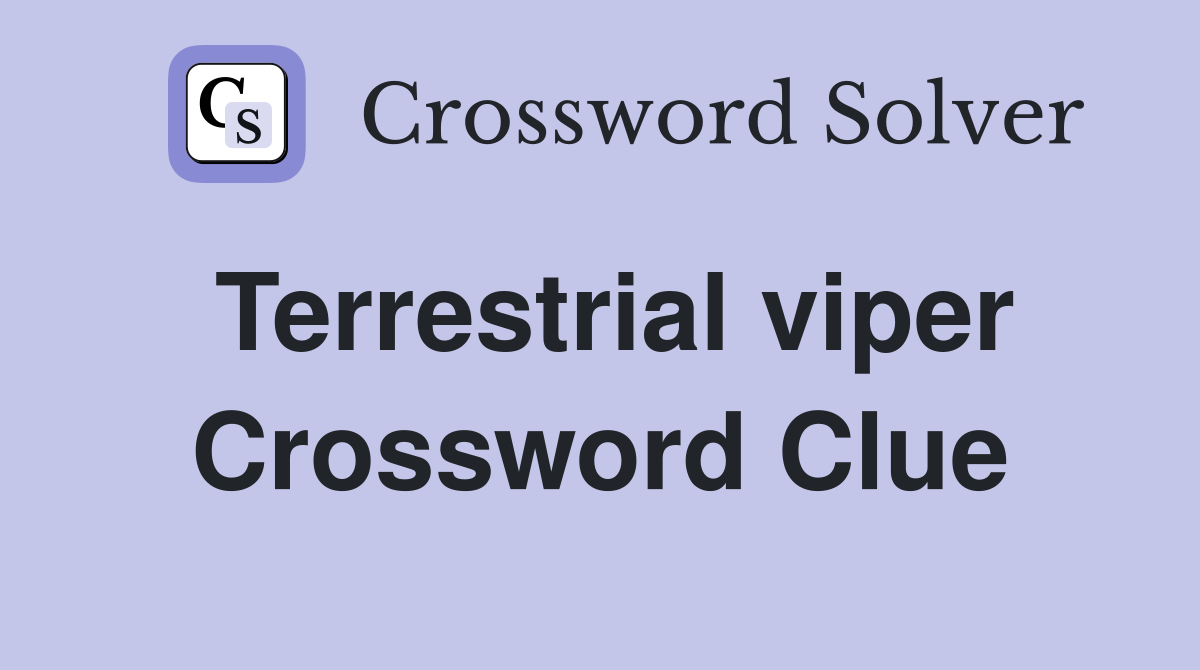 Terrestrial viper Crossword Clue