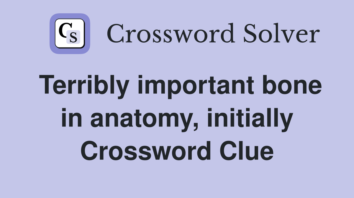 Terribly important bone in anatomy, initially Crossword Clue