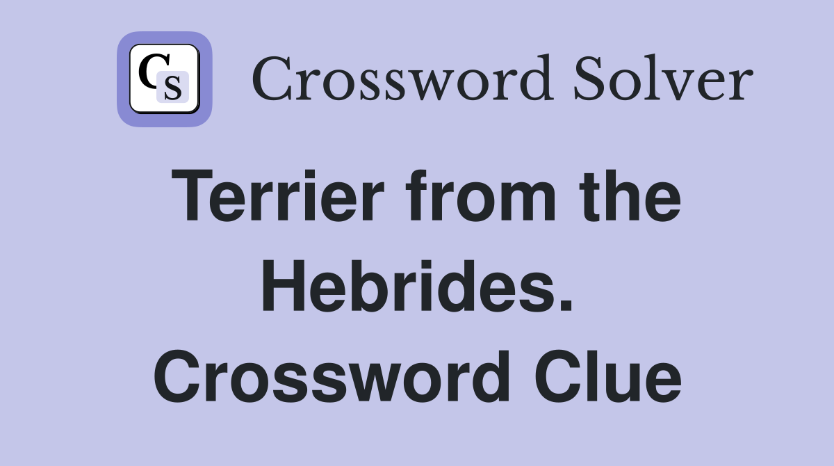 Terrier from the Hebrides. Crossword Clue
