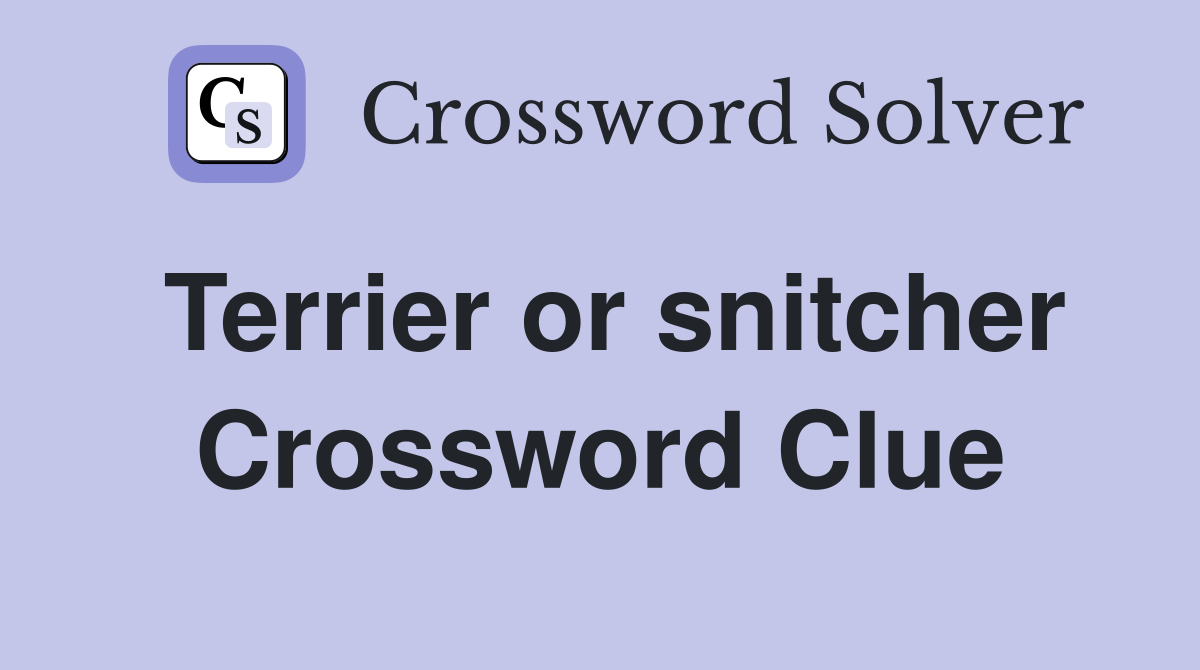 Terrier or snitcher Crossword Clue