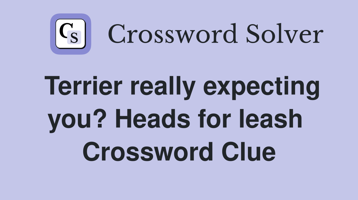 Terrier really expecting you? Heads for leash  Crossword Clue