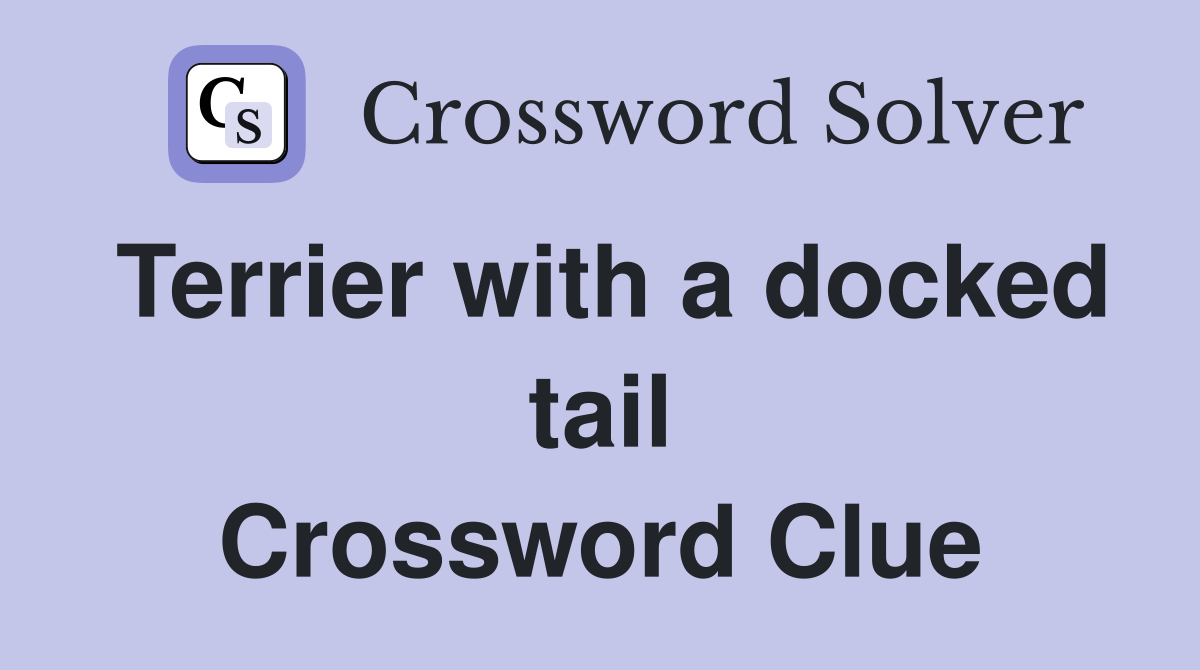 Terrier with a docked tail Crossword Clue
