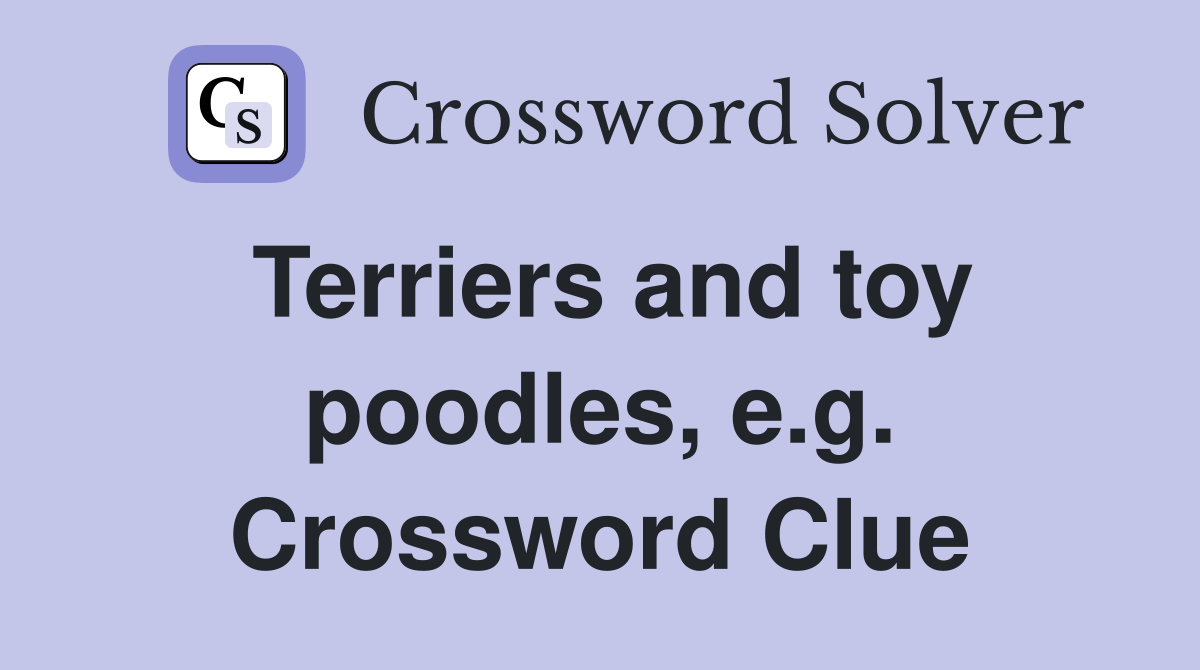 Terriers and toy poodles, e.g. Crossword Clue