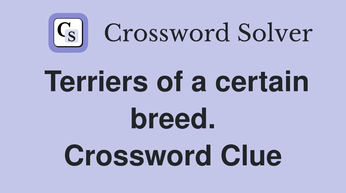 Terriers of a certain breed. Crossword Clue