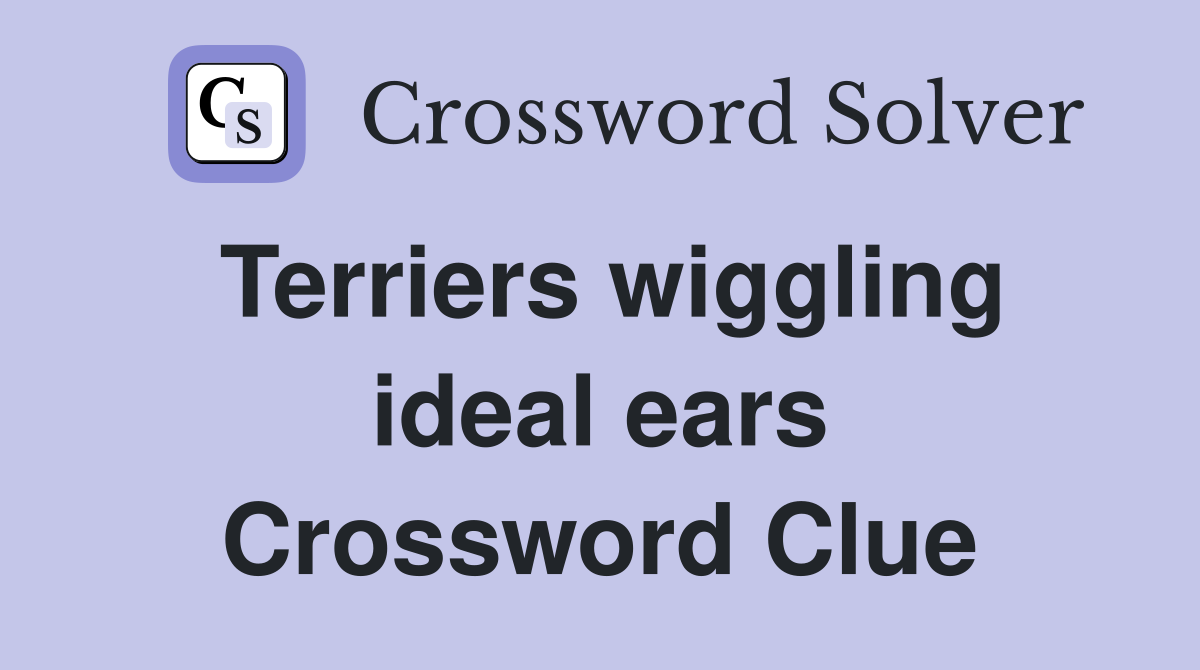 Terriers wiggling ideal ears Crossword Clue