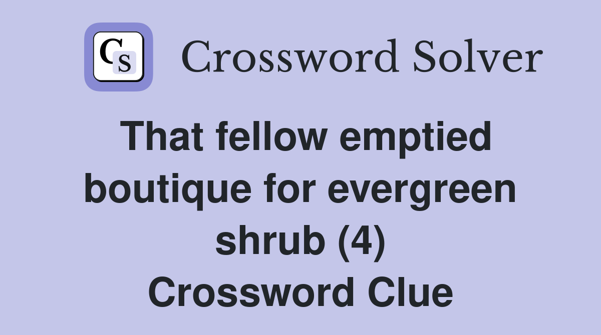 That fellow emptied boutique for evergreen shrub (4) Crossword Clue