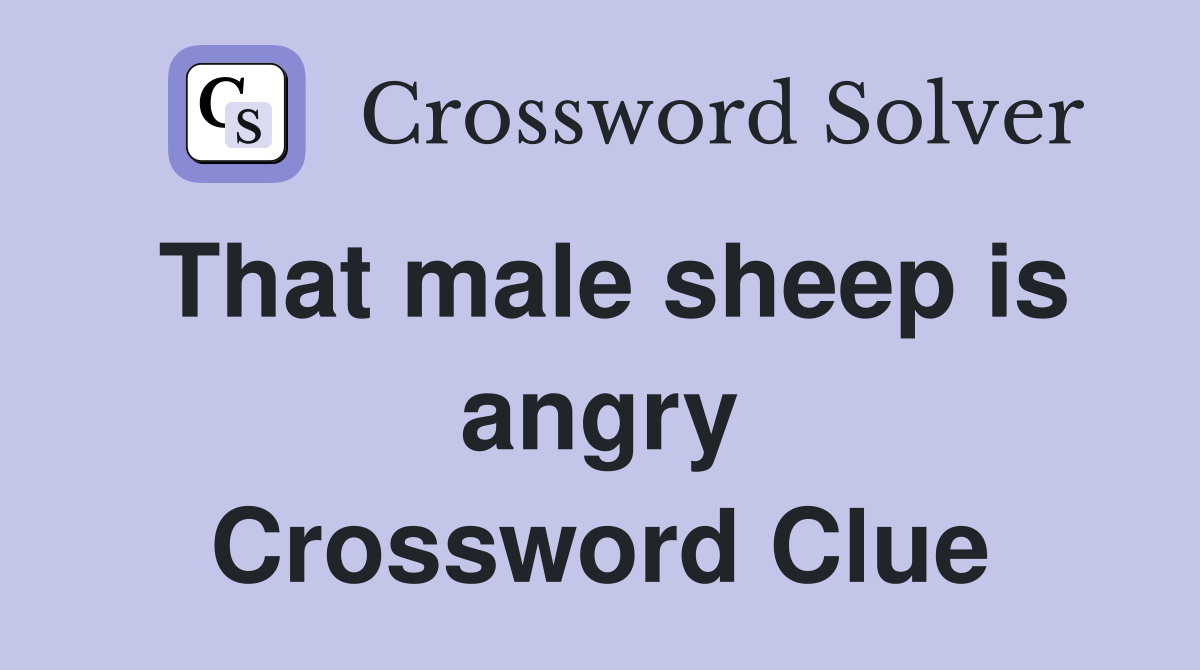 That male sheep is angry Crossword Clue