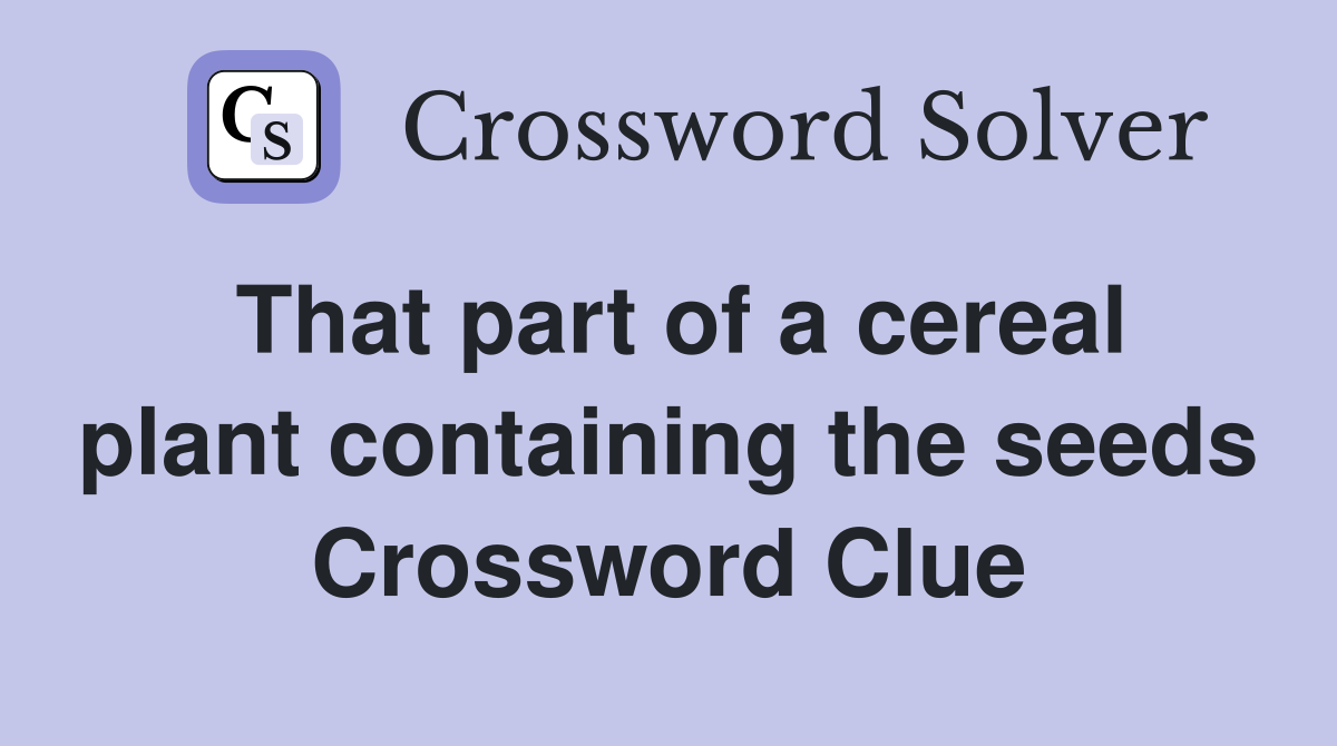 That part of a cereal plant containing the seeds Crossword Clue
