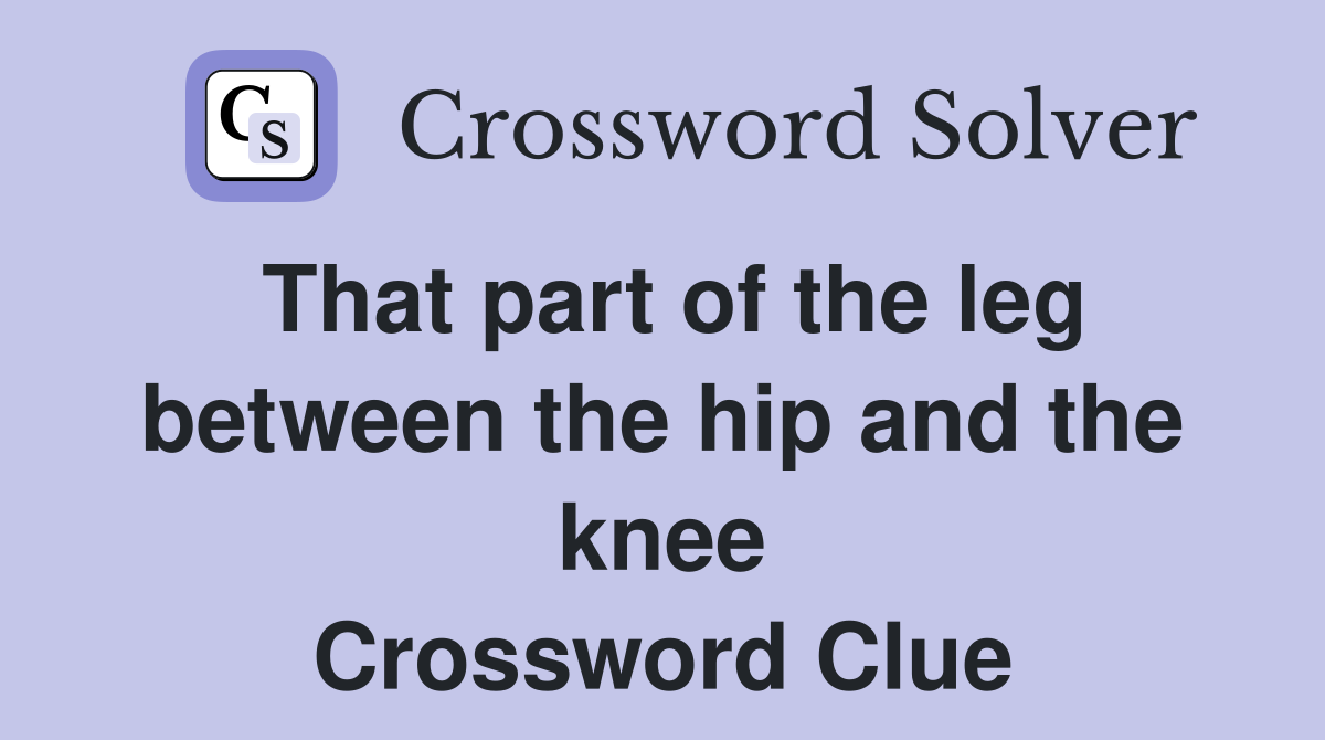 That part of the leg between the hip and the knee Crossword Clue