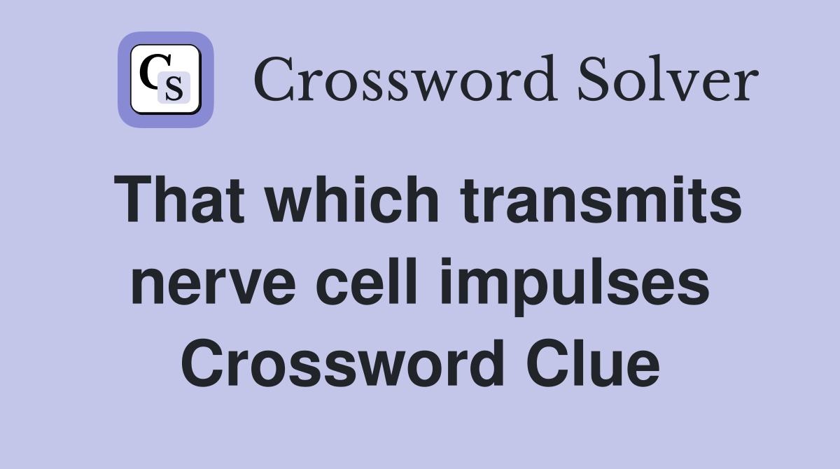 That which transmits nerve cell impulses Crossword Clue