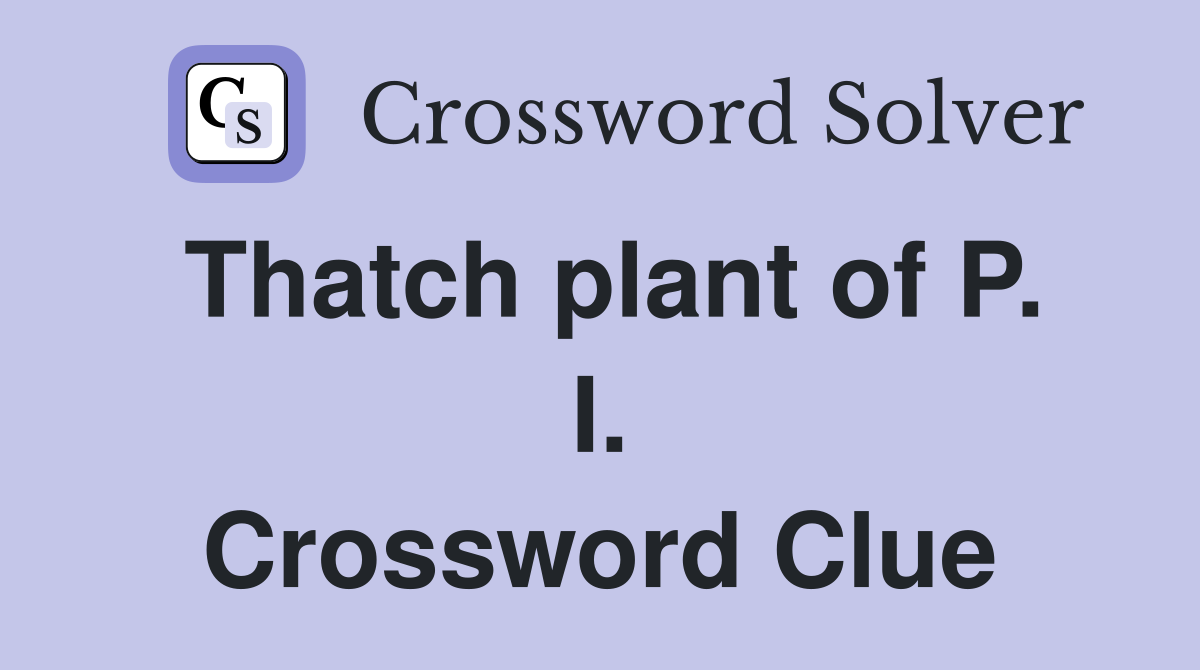 Thatch plant of P. I. Crossword Clue