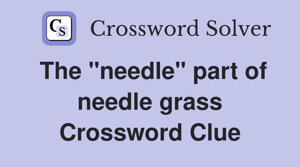 The "needle" part of needle grass Crossword Clue