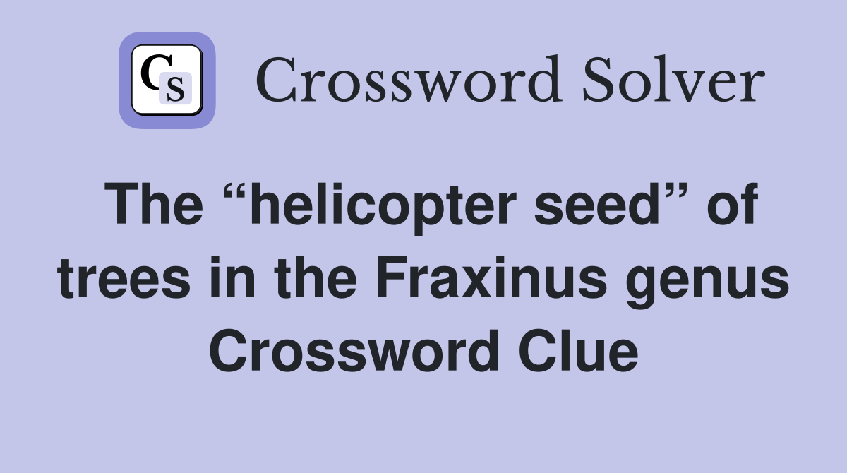 The “helicopter seed” of trees in the Fraxinus genus Crossword Clue