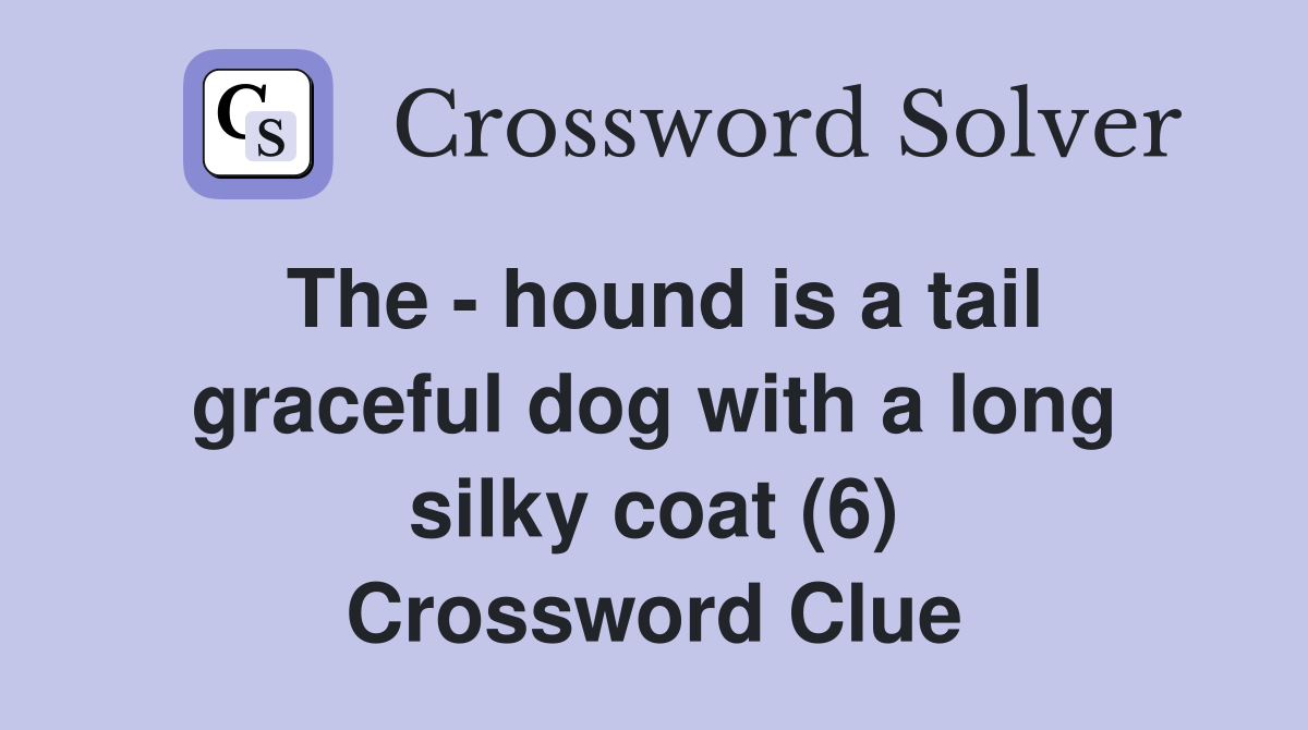 The - hound is a tail graceful dog with a long silky coat (6) Crossword Clue
