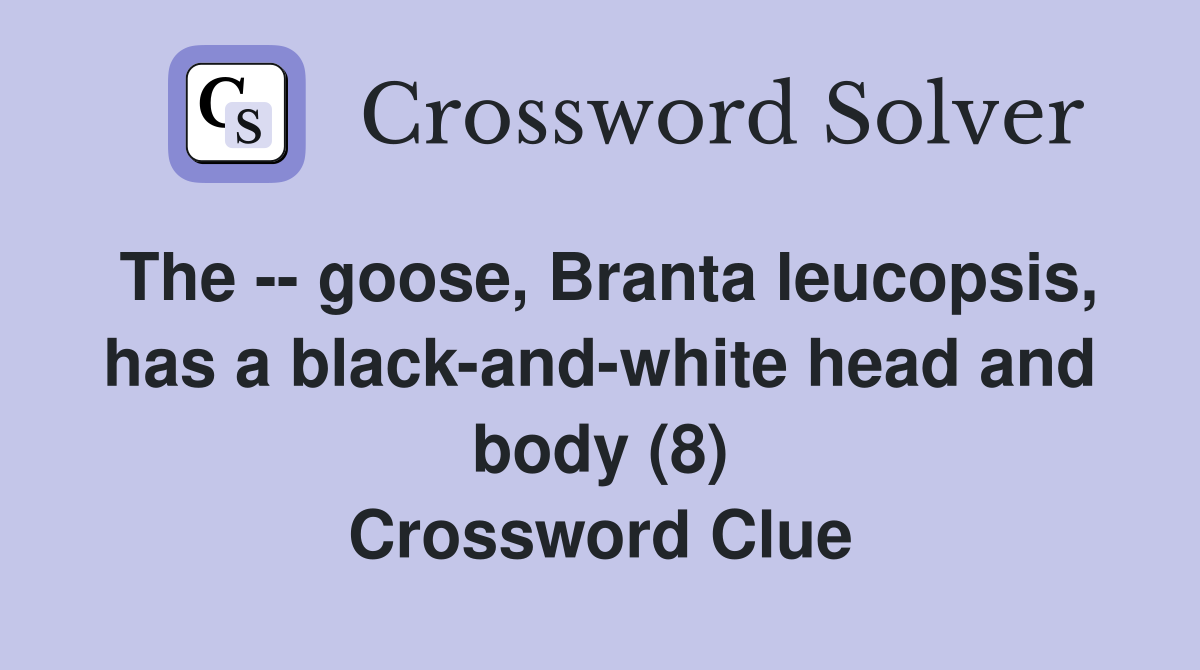The -- goose, Branta leucopsis, has a black-and-white head and body (8) Crossword Clue