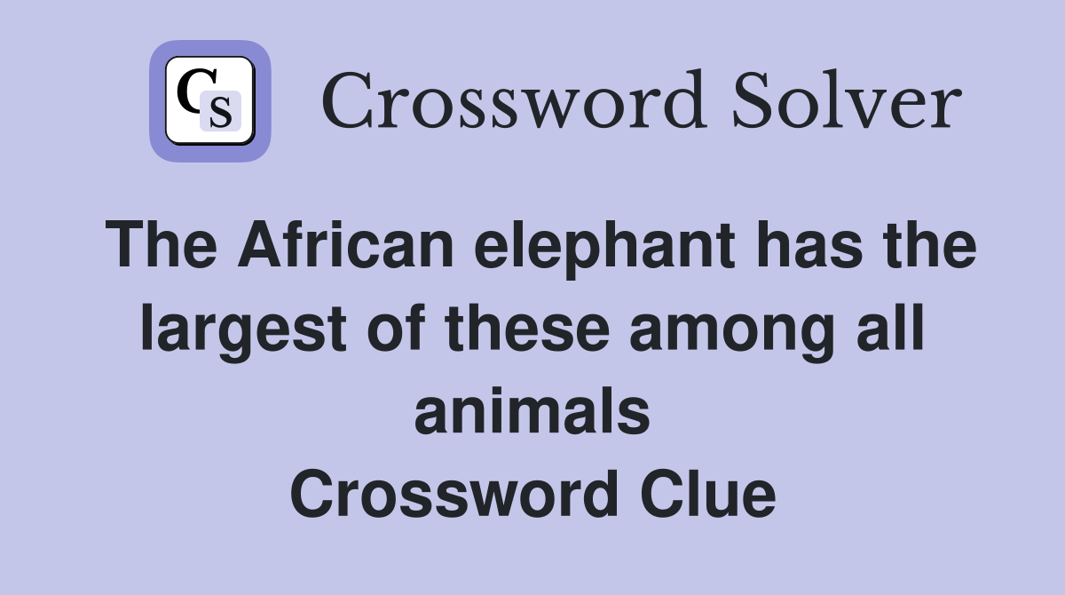 The African elephant has the largest of these among all animals Crossword Clue