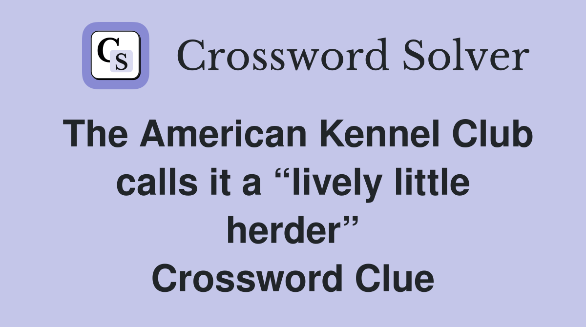 The American Kennel Club calls it a “lively little herder” Crossword Clue