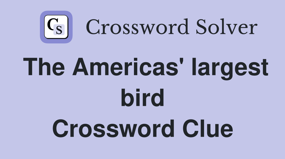 The Americas' largest bird Crossword Clue